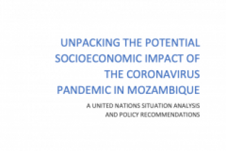 Unpacking the Economic Impact of COVID 19 on SMBs in South Africa