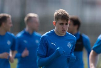 Wolves reportedly want Iceland international ‘described as the next Gylfi Sigurdsson’