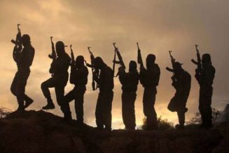 35 killed in Boko Haram attacks in Borno