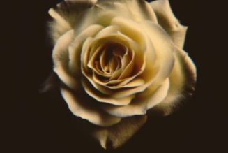 Cassper Nyovest – Siyathandana ft. Abidoza & Boohle