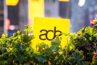 Concerts Get the Green Light in the Netherlands Ahead of Amsterdam Dance Event, Lowlands