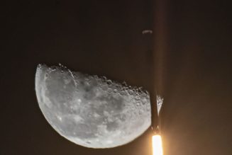 Elon Musk’s SpaceX is literally launching a Dogecoin-funded satellite to the Moon