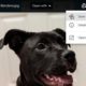 Google makes it easier to transfer Gmail photos to Google Photos