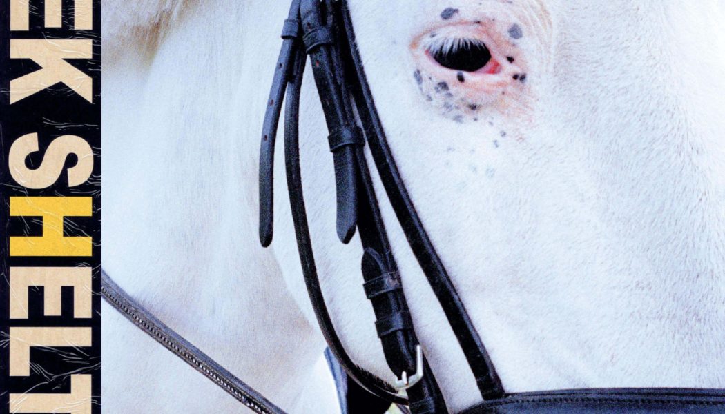 Iceage Bring the Storm on Fifth Album Seek Shelter: Review