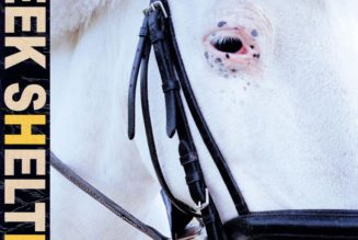 Iceage Bring the Storm on Fifth Album Seek Shelter: Review