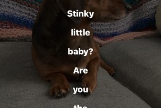 Instagram will now let you auto-caption Stories with just a sticker