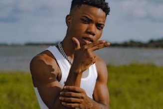 Lyta – Ozana (Cover) Mp3 Download