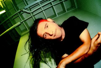 New Skrillex Music to Arrive Next Week, Says josh pan