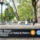 New York City To Offer Vaccine Shots At Subway Stations