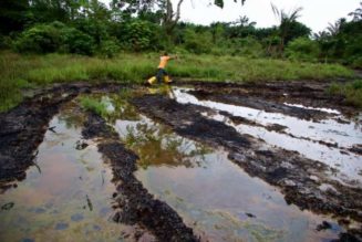 NGO: Oil spills killed 16,000 Niger-Delta babies in a year