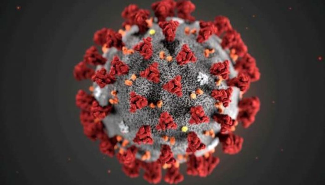 Nigeria records 49 new coronavirus infections
