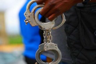 Police arrest two ‘armed robbers’, recover stolen firearms in Ebonyi