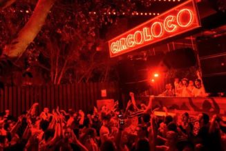 Rockstar Games and CircoLoco Launch Joint Record Label