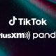 SiriusXM is starting a TikTok music channel to appeal to the teens