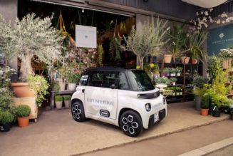 The Citroën My Ami Cargo Is a Very Weird—and Very French—Delivery Vehicle