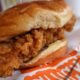 Tim Sweeney concludes Epic v. Apple trial by repping fried chicken