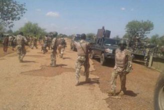 Troops nab two terrorist fuel suppliers in Yobe