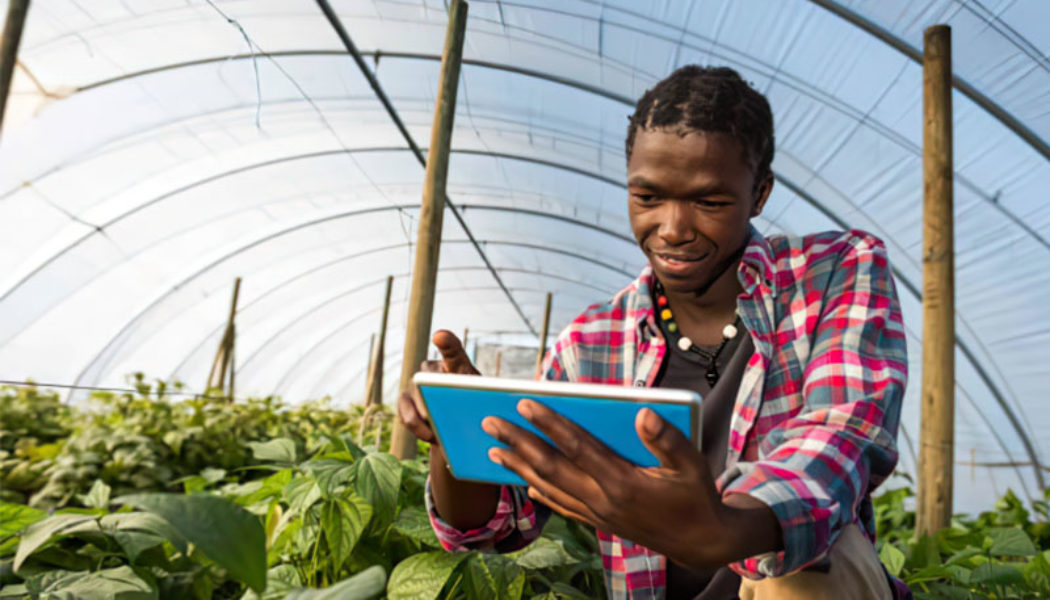 Agritech SupPlant Raises $10-Million to Accelerate South African Agriculture Growth