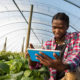 Agritech SupPlant Raises $10-Million to Accelerate South African Agriculture Growth