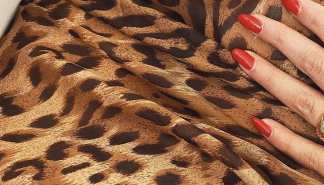 All the Leopard-Printed Pieces You Could Wish for in One Glorious Gallery
