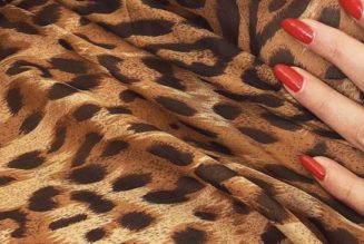 All the Leopard-Printed Pieces You Could Wish for in One Glorious Gallery