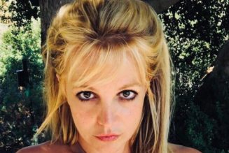 Britney Spears Makes First Public Statement in Wake of Conservatorship Hearing