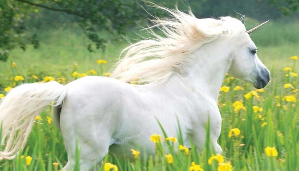 Chasing the Unicorn: The Global Search for Cloud Skills