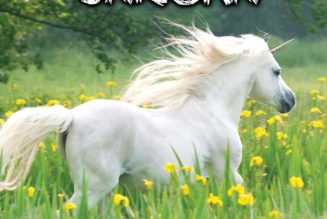 Chasing the Unicorn: The Global Search for Cloud Skills