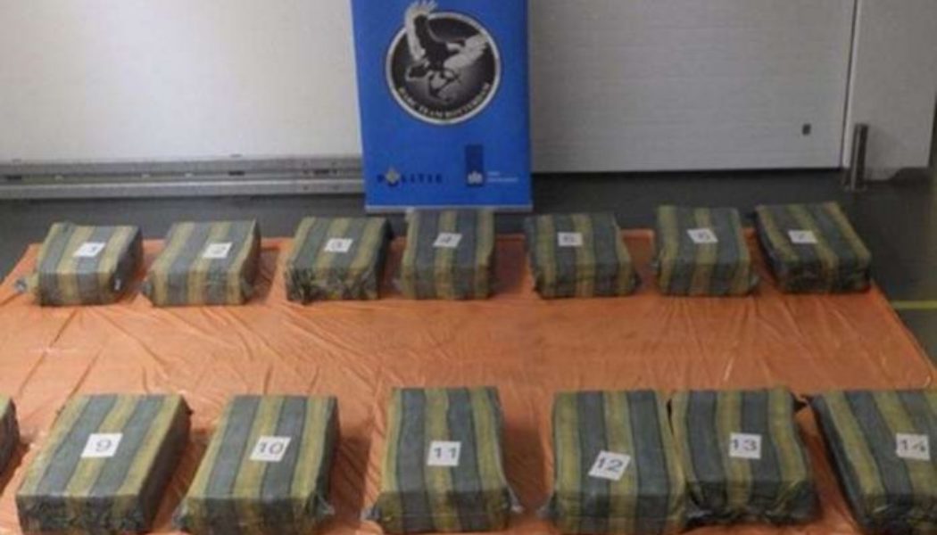 Cocaine worth $8.2m found in Poland banana shipment