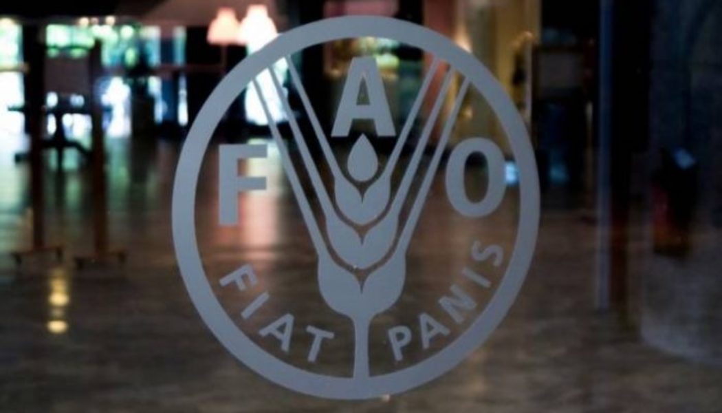 FAO reiterates support to Nigerian government’s efforts to tackle food insecurity