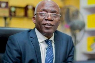 Femi Falana charges Nigerian government to dialogue with agitators, secessionists