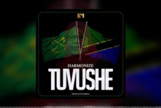 Harmonize – Tuvushe