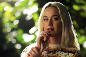 How Katy Perry, Pikachu, And Her Doppelgänger Went ‘Electric’ In Hawaii