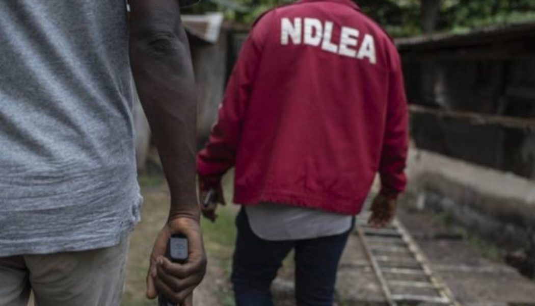 Imo: NDLEA arrests 60, takes drug war to churches, schools
