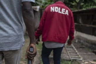 Imo: NDLEA arrests 60, takes drug war to churches, schools