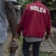 Imo: NDLEA arrests 60, takes drug war to churches, schools