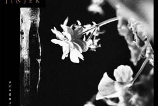 Jinjer Announce New Album Wallflowers, Share New Song “Vortex”: Stream