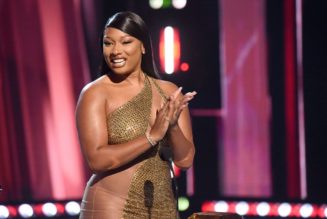 Megan Thee Stallion To Provide Scholarship For Roc Nation School