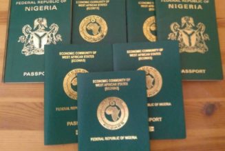 Nigerian government reopens passport application portal