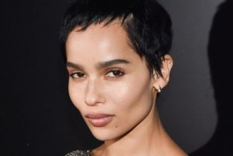 Only Zoë Kravitz Could Make a Basic Vest Top Look This Cool