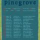 Pinegrove Announce 2021 US Tour Dates