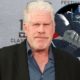 Ron Perlman to Voice Optimus Primal in Transformers: Rise of the Beasts