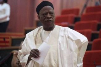 Senator backs Nigerian government on grazing routes