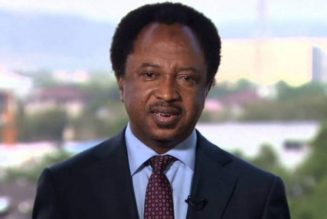 Shehu Sani: A submissive legislature will enable dictatorship