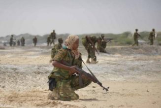 Somali Army kills 24 al-Shabab militants