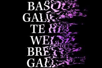 The Twitch streamers fighting to keep minority languages alive