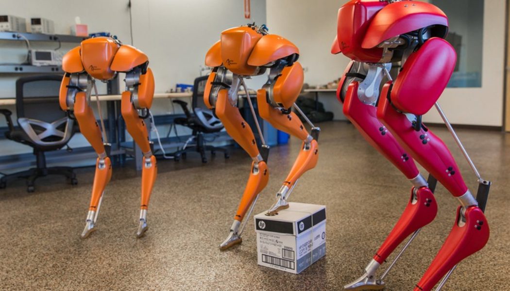 Agility Robotics’ Bipedal Cassie Ran a 5K Without the Need of Tethers