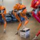 Agility Robotics’ Bipedal Cassie Ran a 5K Without the Need of Tethers