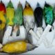 Airports have a wildlife problem (and vice versa)