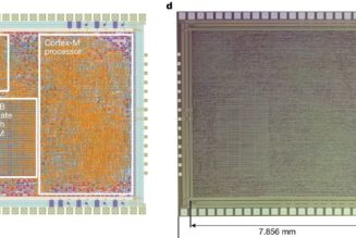Arm’s cheap and flexible plastic microchip could create an ‘internet of everything’